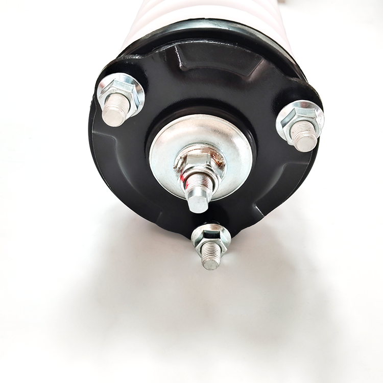 GMW tank 300 (2021-)